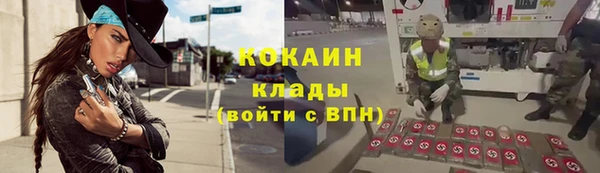 соль ск Алексин